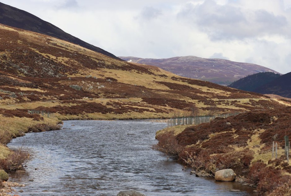 A serene Scottish loch shrouded in mist at dawn, framed by lush pine forests and distant mountains.